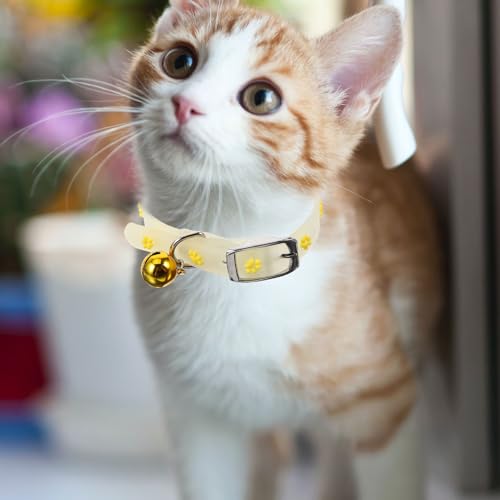Collar fluorescente para mascotas que evita extravíos en la oscuridad 3