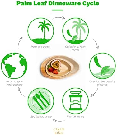Canape King Disposable Palm Leaf Serving Trays (10 Pcs) - 100% Natural and Biodegradable Oval Large Dinner Food Platters (55x30cm) - Suitable for BBQ Picnic Christmas Party Dinner Weddings