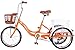 20pulgadas Triciclos Para Adultos Bicicleta De Una Velocidad 20pulgadas 3 Pedal De Ciclo De La Bici Del Triciclo De La Defensa De La Rueda Con La Cesta Delantera De La Cesta De La Compra -naranja