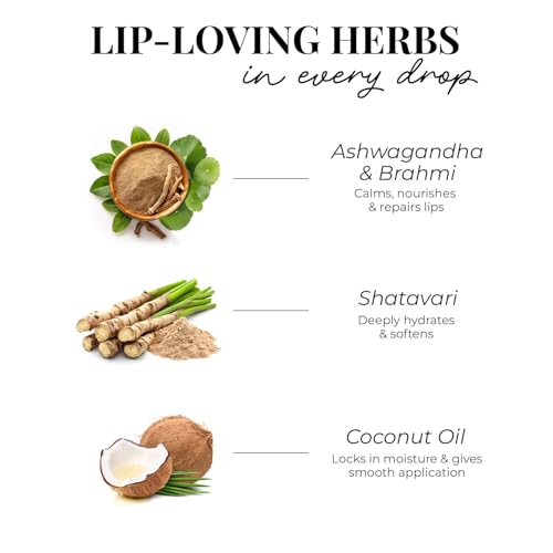 Image of Just Herbs Ayurvedic Liquid Lipstick Kit Set of 3 with Long Lasting, Hydrating & Lightweight Lip Colour, Full Size - Paraben & Silicon Free - 6 ml (Night + Cocktail Look) (Pack of 2)