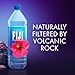 FIJI Water Artesian Water Bottle, 50.7 Ounce