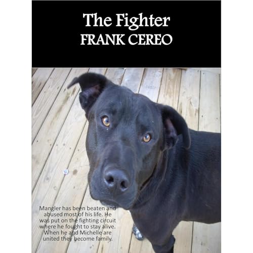The Fighter Audiolibro Por Frank Cereo arte de portada
