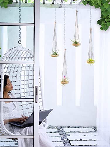 6 Pcs Hanging Wooden Air Plant Holder - 3.1" Round Pine Wood Air Plant Hanger With Jute Ropes, Rustic Tillandsia Stand Succulent Display Container For Home Office Decor Gift (Plants Not Included) #TOP7