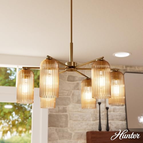 Hunter - Beverly Glen 6-Light Luxe Gold, Large Chandelier, Dimmable, Transitional Style, Dome Shaped, for Bedrooms, Kitchens, Dining, Living Rooms - 13230