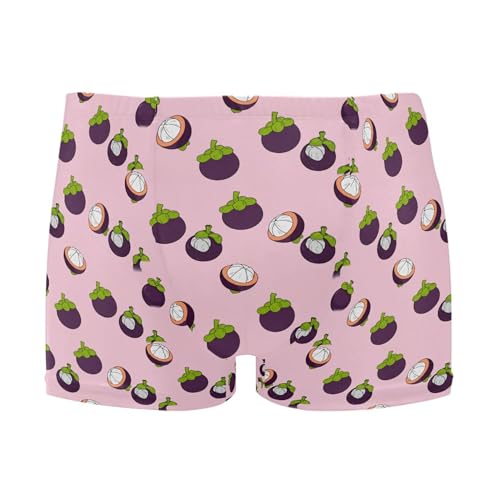 Purple Mangosteen Fruit Mens Swim Trunk Swimwear Bathing Suit Swim Brief Square Leg Board Short S B0405139