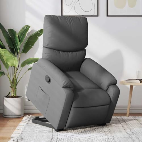 Mimdixy Sillón reclinable de oficina, sillón de relax con ayuda para levantarse, tela gris oscuro