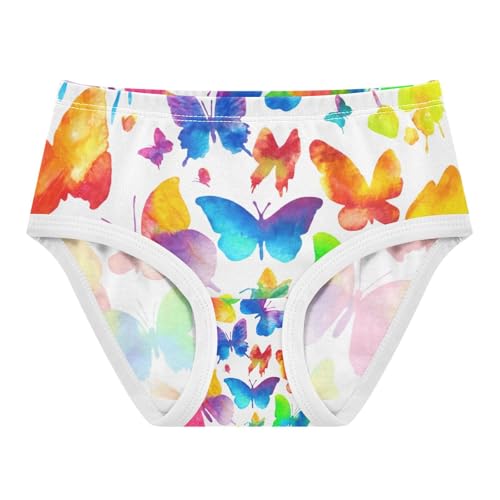 Color Butterfly Toddler Girls's Underwear 2T 202c1775