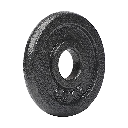 #DoYourFitness Plaque de poids - 100% fonte - Haltère de curl pour barbell - Accessoires de musculation - Haltère en gris - 0,5 kg Cover