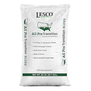 best heat resistant grass