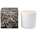Produktbild Fragonard Home Fragrance Bois Dormant Candle