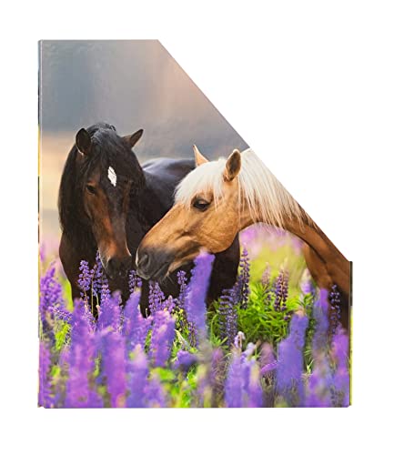 Image of HERMA 19718 Magazine File A4 with Horses Motif, 7.5 cm Wide, Foldable, Sturdy Cardboard, Slim Magazine Holder for Girls and Boys, Standing File for Storing Documents, Documents, Folders