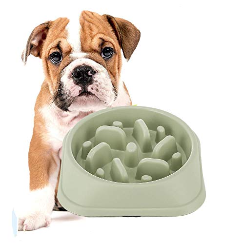 Slow Feeder Bowl, Dotpet Fun Interactive Feeder Bloat Stop Dog Bowl Preventing Feeder Anti Gulping Drink Water Bowl Fan Shape Healthy Eating Diet For Puppy Dog Pet (Green) #TOP7