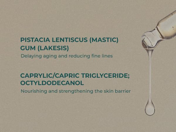 INNA ORGANIC Rejuvenating Face Oil, Anti-aging, Wrinkle Care & non-greasy, EWG & COSMOS Certified | Frankincense Essentil OIls Infused Skincaer | Luxury Clean Beauty - Image 7