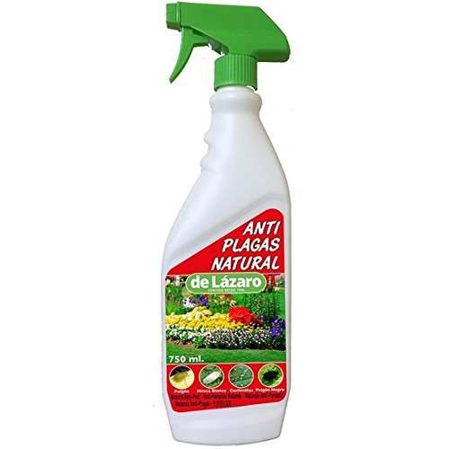 De Lazaro 105235 Antiplagas E Insecticida Pistola, Multicolor, 750 ml