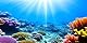 MIRRORANG 120x50cm Unterwasser Aquarium Hintergrund Sonnenlicht Blaues Meer Buntes Korallenriff Unterwasserwelt Aquarium Poster Hintergrund