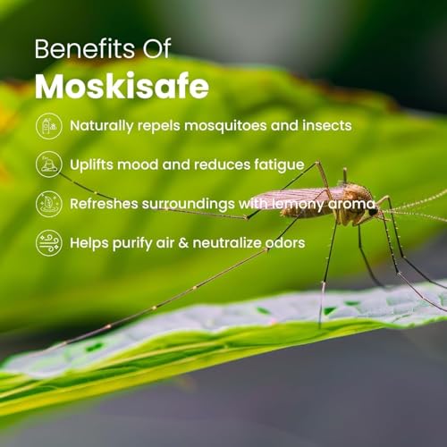 Image of Romyco Citronella Essential Oil 15ml | Natural Insect & Mosquito Repellent Oil | Therapeutic Grade Pure Natural Undiluted | Aromatherapy Diffuser