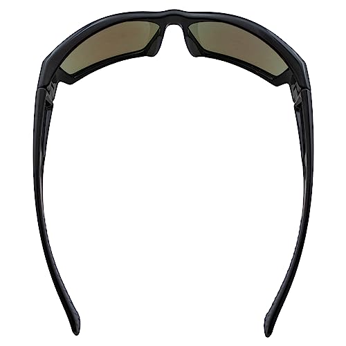Freelance Sunglasses4