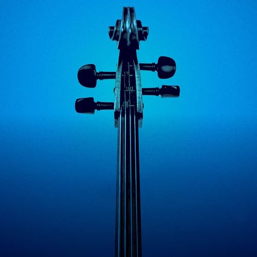 Disney String Quartet