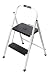 Rubbermaid RM-HSP2 Folding 2-Step Lightweight Steel Step Stool with Hand Grip, 200-Pound Capacity, White Finish