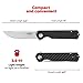 GANZO Firebird FH11 Top Pocket Folding Knife D2 Steel Flip Blade Carbon Fiber Handle with Clip Hunting Gear Fishing Camping Outdoor Folder EDC Knife (CF Black)