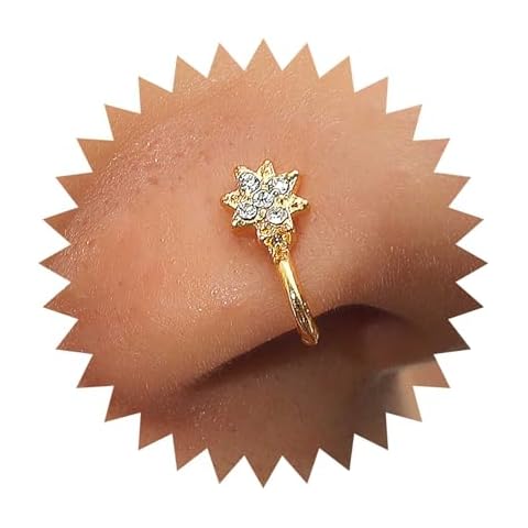 Inilbran Anneau de Nez Étoile Cover