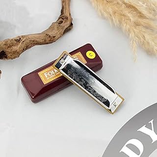 Harmonica Folk Master 1072 harmonica standard débutant diatonic Blues gaita 10 trous a B C D E F G ab BB DB EB f – Image 5