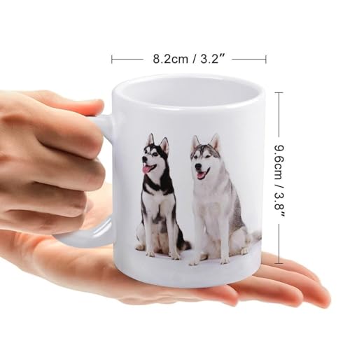 nXL[ 킢  }OJbv   킢 yMtg R[q[Jbv Z~bN Z~bN}OJbv ڈpR[q[Jbv y a v[g 330ml