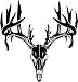 Deer Buck Skull Antlers Hunter Hunting Sportsman Car Truck Windows Decal Sticker - Die cut vinyl decal for windows, cars, trucks, tool boxes, laptops, MacBook - virtually any hard, smooth surface