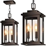 VIANIS 2-Light Large Outdoor Hanging Light Fixture, Exquisite Outdoor Pendant Lights, E12 Bulbs*2 for House, Porch, Doorway, Waterproof, Anti-Rust, 100% Aluminum, Oil Rubbed Bronze