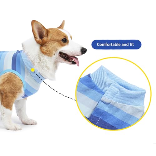 Image of Dog Recovery Suit for Dogs After Surgery,Dog Onesie for Surgery Male and Female,Abdominal Wounds Post Surgical Recovery, Prevent Licking Surgical Wound,Substitute E-Collar & Cone,M