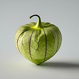 Tomatillo Whole and Fresh, 2 Pounds, These vibrant green gems are perfect for creating delicious salsas, sauces, and traditional Mexican dishes.