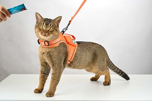 OneTigris �L �n�[�l�X ���[�h �Z�b�g 2M �����Ȃ� �E�o�h�~ ������ɂ��� ���� �L�p �ȒP���� �����d�l GPS�Ή�3�|�P�b�g�t�� ���w�\���̒ʋC�� �E�g�h�A�i�C�������n ���t���N�^�[�t�� �U�� ���o���� �y�� �T�C�Y���߉\