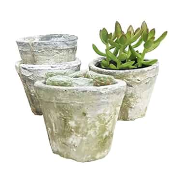 Amazon.co.jp: モスポット ホワイト3鉢 植木鉢 陶器鉢