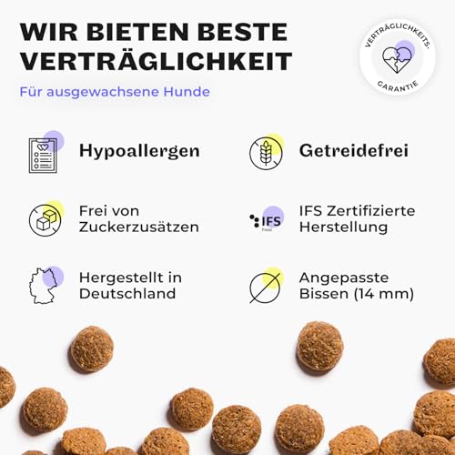 HEY HOLY Premium Trockenfutter für Bulldoggen 100% getreidefrei | 7kg Hundefutter für ausgewachsene Bulldoggen mit Lachs | Hochverträglich aus natürlichen Zutaten
