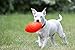 Jolly Pets Football Dog Toy, 8 Inches, Orange