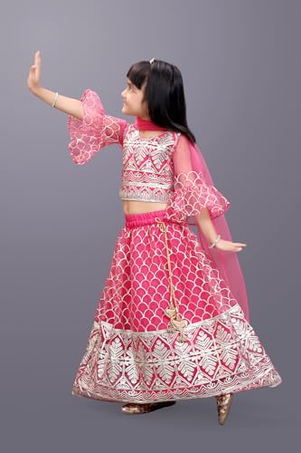 Image of Girl's Princess Lehenga Choli Set - Soft Net, Ribbon Embroidery With Duppata, Readymade