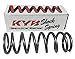 Technical Touch Usa Inc. Shock Spring 48N/4.9Kg 120534600901