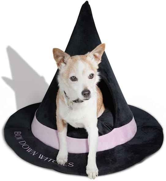 review Witches Hat Cat Bed, Small