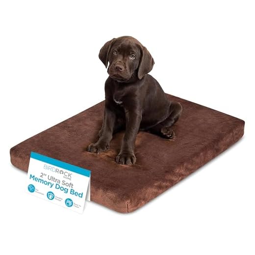 BIRDROCK HOME 2" Memory Foam Dog Bed - Ultra Soft Plush Pet Bed - Removable Cover - Pet - Crate Bed (22 x 16, Brown)