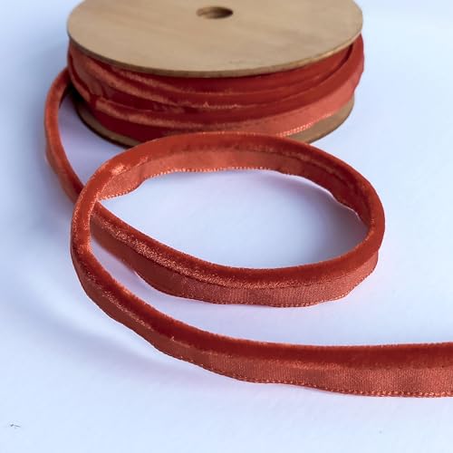 On Trend Fabrics - Cordon de terciopelo con bridas, 5 mm de dimetro, 13 colores vivos, lavable a mquina a 30 grados, fabricado en Francia, se vende por metros (naranja quemado)