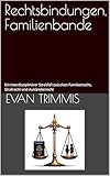  Rechtsbindungen, Familienbande: Ein interdisziplinärer Streitfall zwischen Familienrecht, Strafrecht und Ausländerrecht