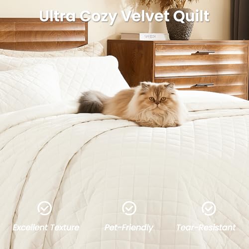 L'AGRATY Velvet Quilt Queen Size: 3-Piece Reversible Luxury Velvet Bedding Comforter Set - Lightweight Oversized Quilted Bedspread Coverlet with 2 Pillow Sham for All Season - Cream White Quilt