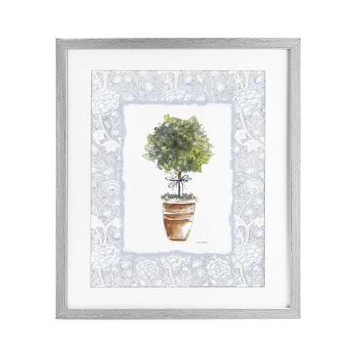 Potted Topiary Terracotta Botanical, 17 x 21 Inch Framed Print Under Glass