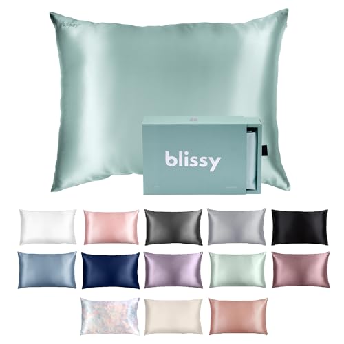 Blissy Silk Pillowcase - 100% Pure Mulberry Silk - 22 Momme 6A High-Grade Fibers - Silk Pillow Cover for Hair & Skin - Regular, Queen & King (Mint, Queen)