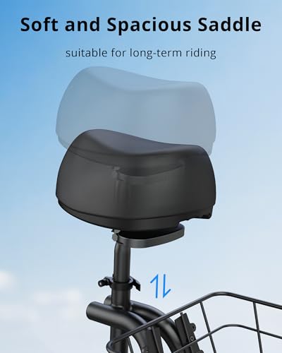 Electric Scooter with Detachable Battery