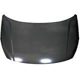 Hood Fits 18-22 RIO 248441