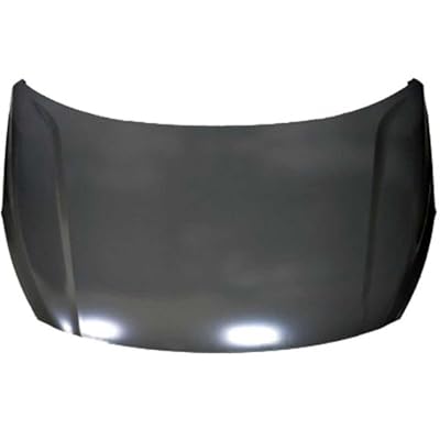Hood Fits 18-22 RIO 248441