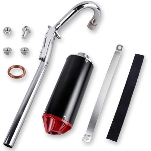 FLYPIG 28mm Dirt Bike Exhaust Muffler Pipe Silencer for XR50 CRF50 50cc