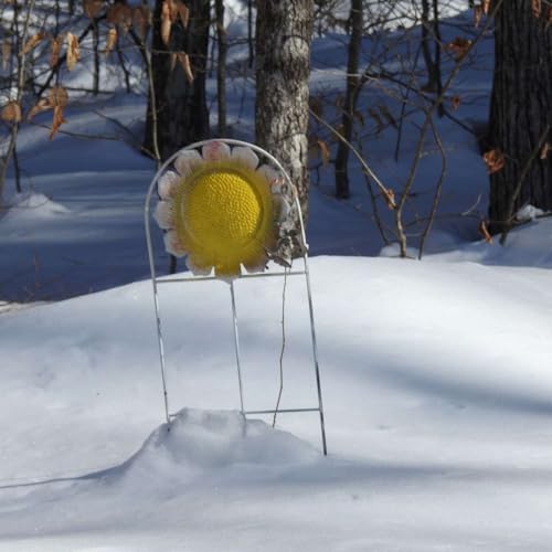 SETTLING INTO FEBRUARY