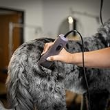 Agrarzone Edition Wahl KM10+ Hundeschermaschine mit Aufsteckkamm-Set - Profi Schermaschine Hund & Katze - Für Groomer & Tierärzte - Leise & vibrationsarm